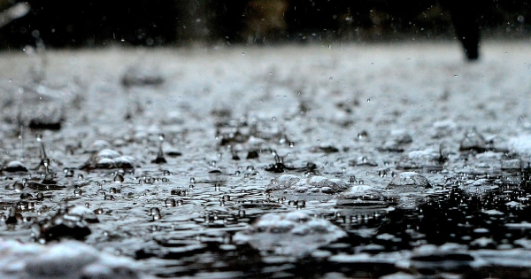 Récupérateurs d&#039;eau de pluie : aide financière de la Région